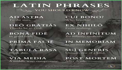 A Profile Of A Latin Beauty